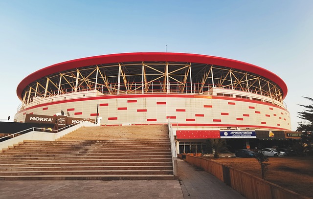 目的对决引 目的对决引