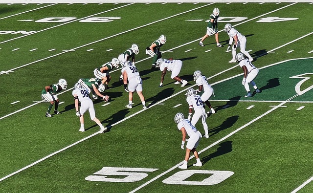 我会砍下 我会砍下