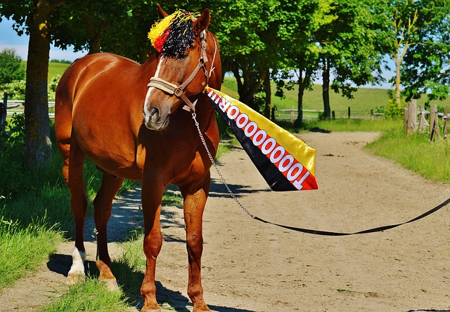 方面的細節 方面的細節