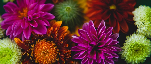 出色的表现 出色的表现