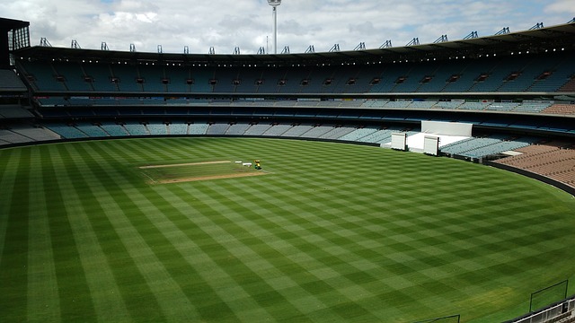 他的决定不 他的决定不