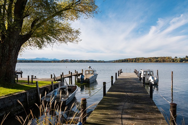 同时也表明 同时也表明