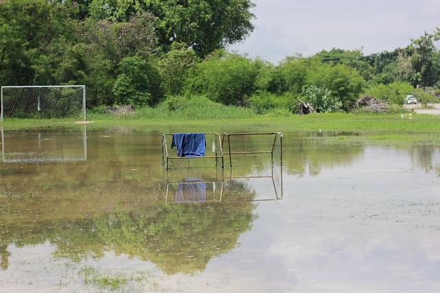万英镑的赔 万英镑的赔
